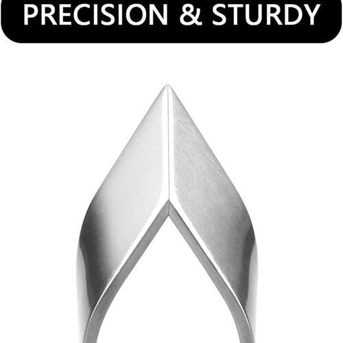 2 Pieces Fish Bone Tweezers, Stainless Steel Flat and Slant