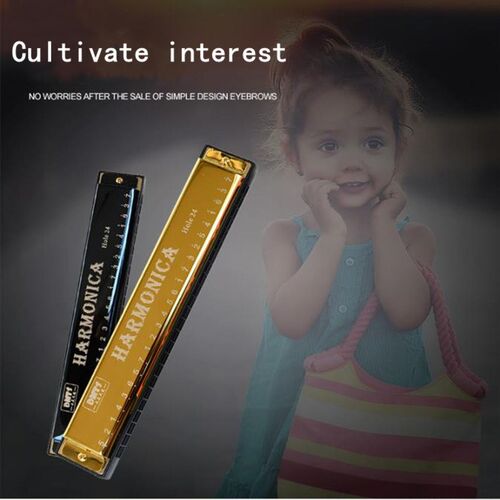 1PCS Professional 24 Hole Harmonica Mouth Metal Organ for Ch