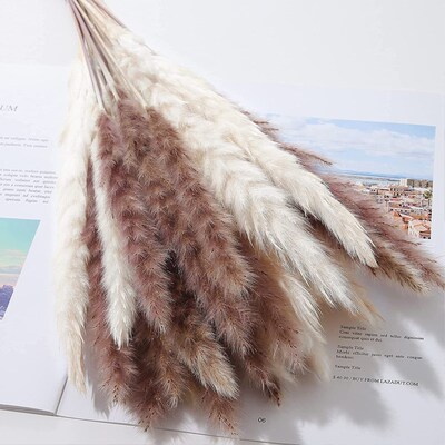 100pcs Room decor dried flower bouquet pampas grass Bohemian