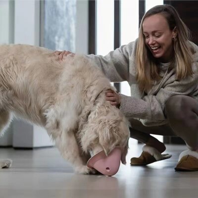 Dog Chew Toys狗狗隐藏食物啃咬玩具 训练智力开发狗狗玩具餐盘