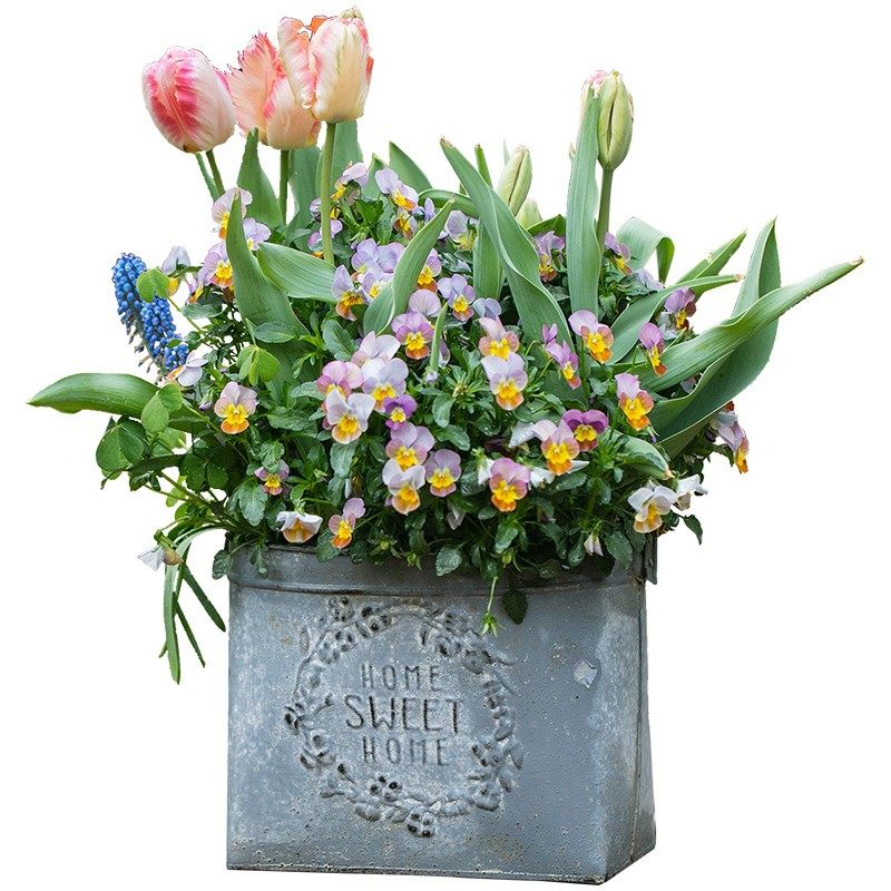 掬涵 铁艺花盆铁皮桶花桶复古做旧鲜花干花多肉花器花篮花店装饰,家居饰品,花盆,淘宝优惠券,粉丝福利购,淘宝优惠卷