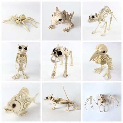 Halloween Scorpion bat mouse spider skull bone adornment骷髅