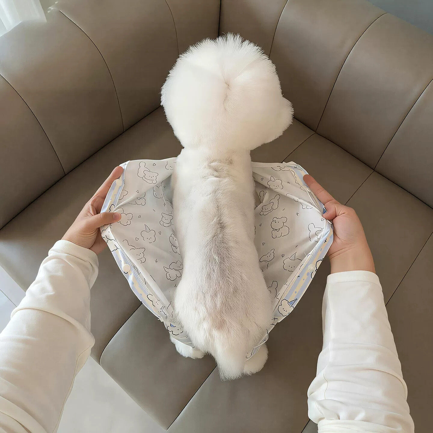 狗狗衣服纯棉宠物包肚衣春夏猫狗空调服防掉毛外出轻薄四脚衣比熊