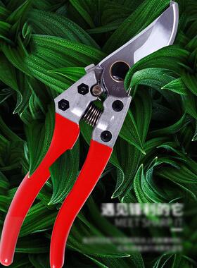 朱铁匠SK-5园林果树修枝剪 Z-230红色鸟嘴型全包塑省力葡萄摘果剪
