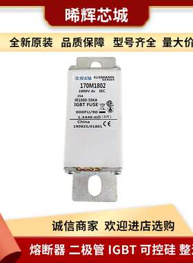 170M1802 170M1803  库存充足 型号齐全直流熔断器量大从优现货