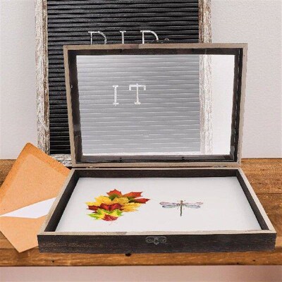 1 Set Wooden Insect Display Case Butterfly Specimen Display