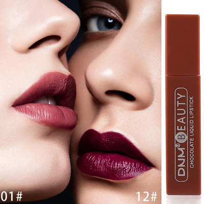 Lip Stick Long Lasting Chocolate Lip Gloss Matte Lip Glaze C