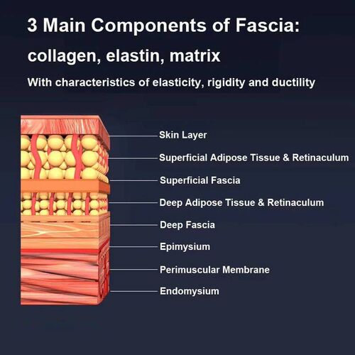 Fascia Gun EMS Red Light Therapy Heated Muscle Scraper Gua S