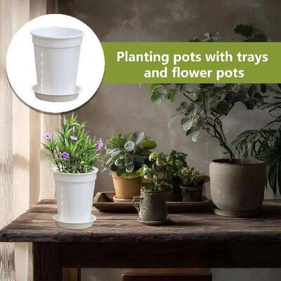 PlantsPoer5iecCBoxGw