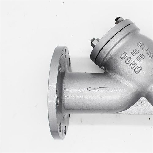 铸钢法兰Y型GL1H-1C WCB材质 管道除污器DN100 DN1