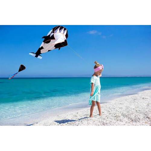Dolphin Kite Whale Internet Celebrity Kite