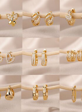 Stainless Steel Earrings For Women Geometric Butterfly Twist