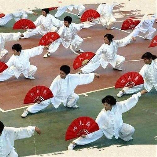 8 inch Martial Arts Performance Fan Dance Wushu Chinese