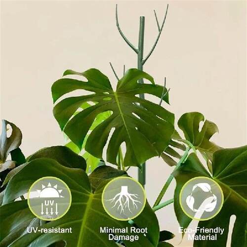 AUAU-Monstera Plant Support Clips Ties Set,Plant Support