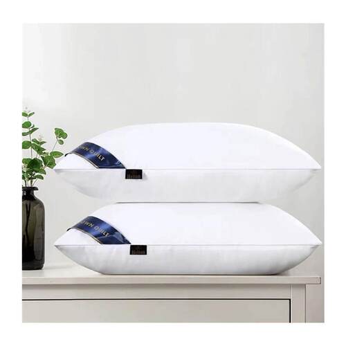 枕头 2pcs sleeping pillow bed set  health care big double