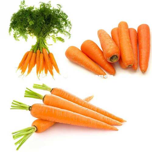 200PCS/bag 2 bags carrot seeds fealthy garden vegetable non