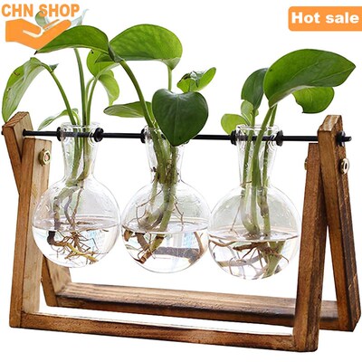 Plant Terrarium with Wooden Stand Vintage desktop decoration