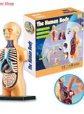 Kid Montessori 3D Puzzle Human Body Anatomy Model Educationa
