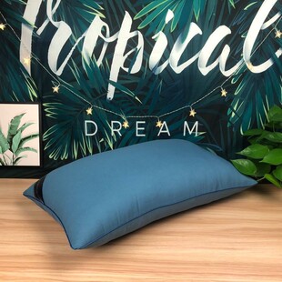 Hotel pillow five-star bed soft pillows core 软五星酒店枕头