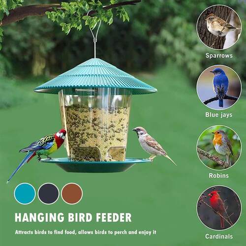 Bird Feeder Automatic Foot Feeding Tool Outdoor Bird Feeder