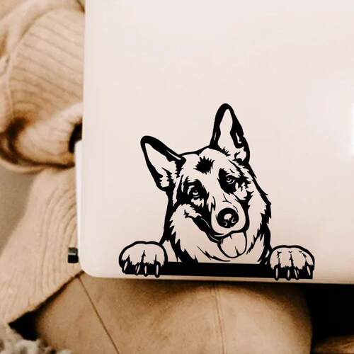 Cars Accessorie Decals Funny Dog With Name Car Decal Dogs Pe