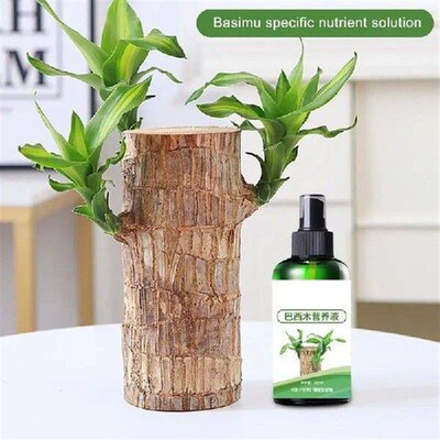 150ml Brazilian Wood Fertilizer Brazilian Wood Houseplant