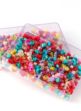 100/200pcs Real Dried Flowers For Diy Art Craft Epoxy Resin