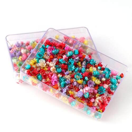 100/200pcs Real Dried Flowers For Diy Art Craft Epoxy Resin