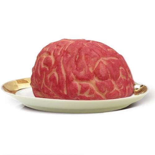 New Brain Model Realistic Horror Plants Vs. Zombies Trick Fr