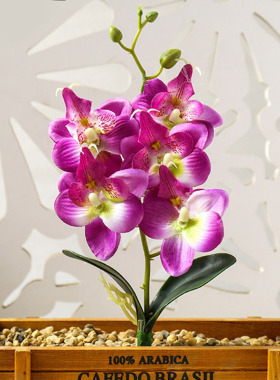Real Touch Mini Small Orchid Artificial Flower Branch Fake P