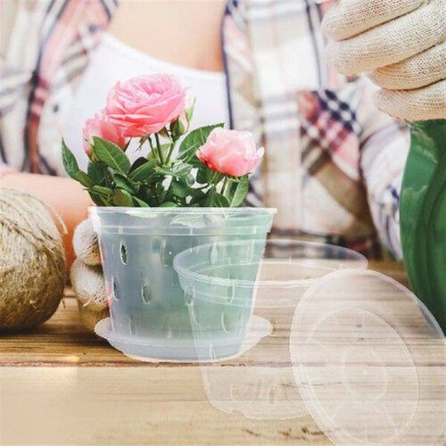 Transparent Butterfly Orchid Special Flower Pot Clear Pots