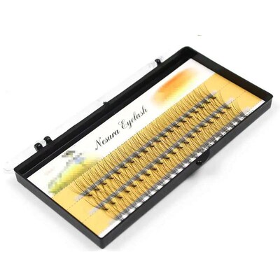 1 Box/60 Packs Of Fake Eyelashes 10/20/30D, Personal Mink Na