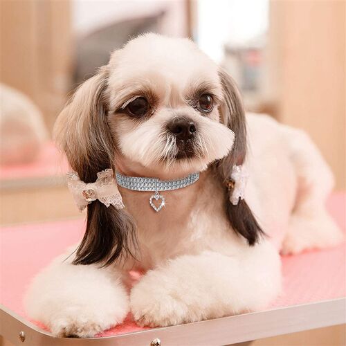 Bling Pet Dog Collar Fashion Bone Pendant Crystal Diamond Ca