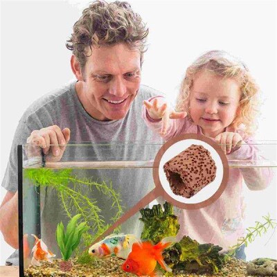 10 Pcs Water Plant Fixed Ring Durable Material Aquarium