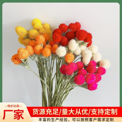 Strawberry Fruit Dried Flowers Strawberry Ball Mixed Bouquet