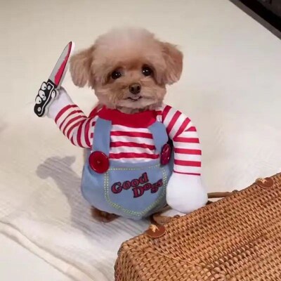 Dog Cat Pet Funny Costume Chucky Deadly Doll Cosplay Party F