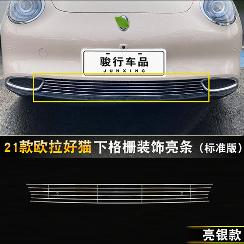 21-22款欧拉好猫GT中网改装亮条配件前杠专用防护用品汽车防虫网