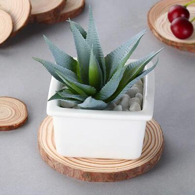 Natural Round Wood Coasters Cup Pad Tea Coffee Mug Mat Drink