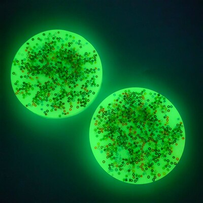 Skin Picking Fidget Toys, picky pad Pick Pads Anxiety, ADHD