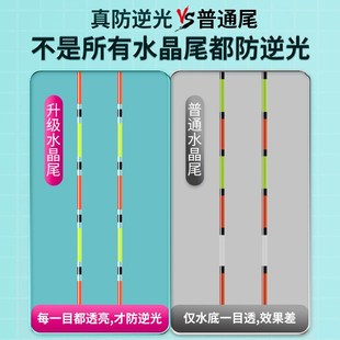 小凤仙水晶尾鱼漂高灵敏醒目鲫鱼漂野钓纳米行程浮漂专攻强光H-SJ