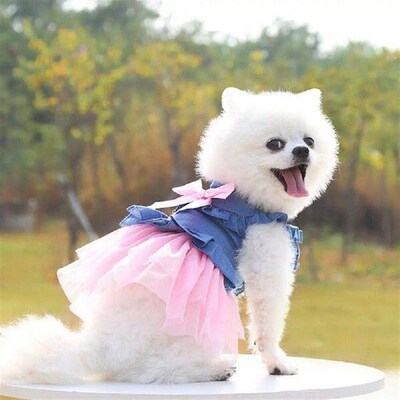 Decorating  Stylish Summer Dog Two-legged Clothes Pullover