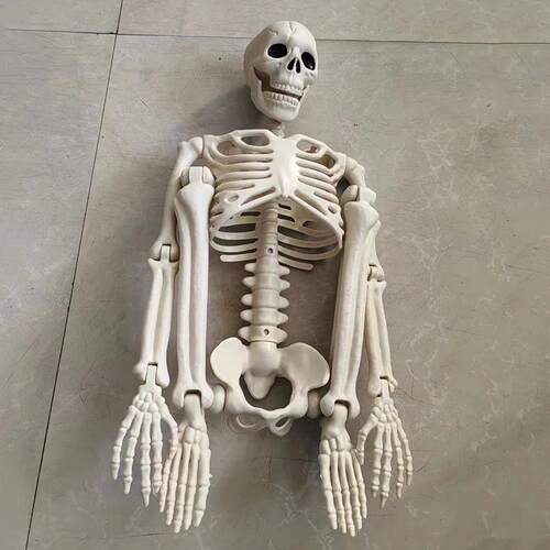 Halloween Movable Skeleton Fake Human Skull Bones Halloween
