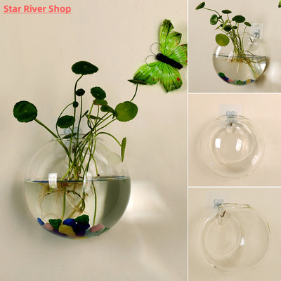 Transparent Glass Vase Wall Hanging Hydroponic Terrarium Fis