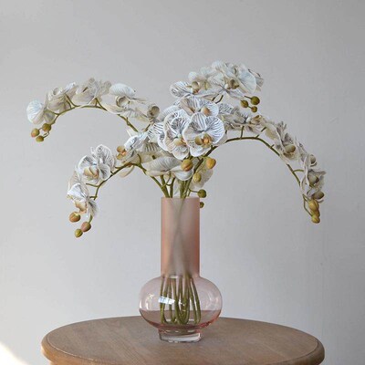 Glass Vase Potted Decoration Nordic Decorative Vase Hydropon