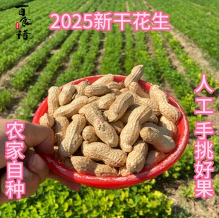 【2025百食谱干花生】开封沙土地干花生农家自然晾干原味带壳花生