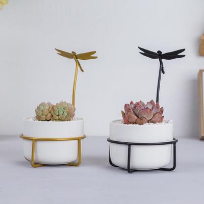 花下居创意蜻蜓造型铁架铁艺底座配多肉植物陶瓷花盆组合套装