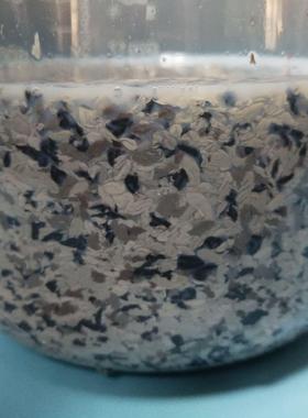 多彩582保护胶粉水包水涂料原料无后增稠不混色轻体多彩环i保耐用