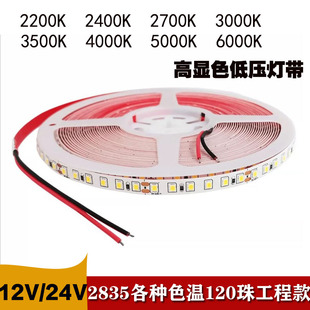 12V24V高亮2835准色温120灯2000K2400K2700K3000K4000K5000K6000K