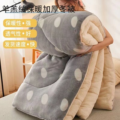 Thicken Flannel Comforter Duvet Quilt Blanket single/double