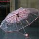 proof sun umbrella 2021 transparent Fashion